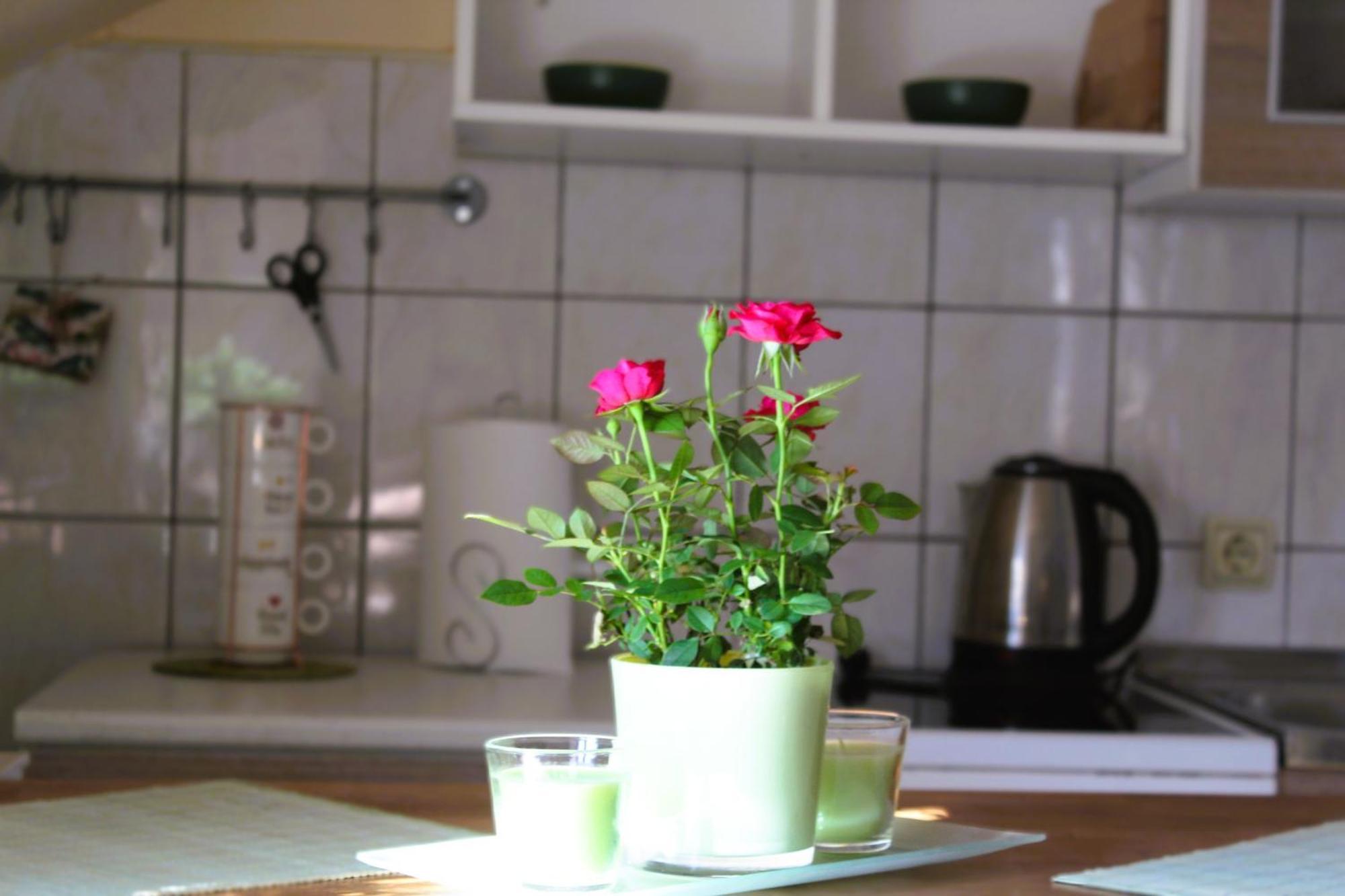 Svila Apartmani Bihać Kültér fotó